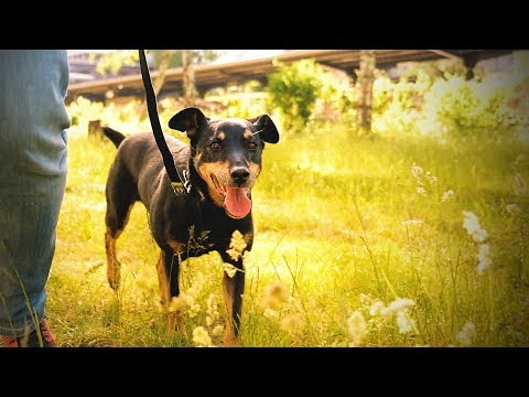 product-video-E1063084-1