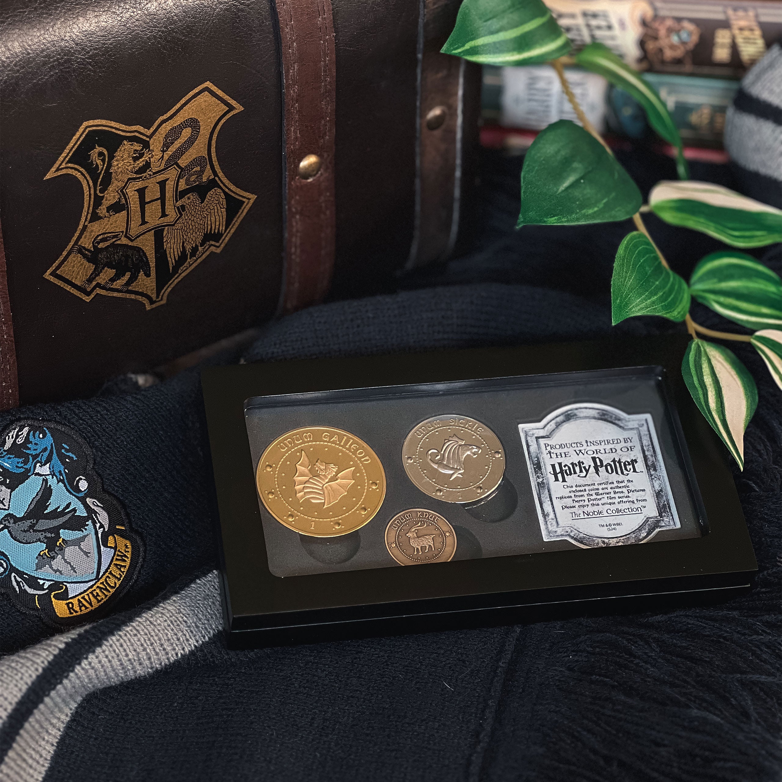 Productafbeelding Gringotts Muntencollectie