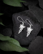 Productafbeelding Arwen Avondster Oorbellen Zilver