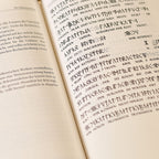 Product image The Big Elvish - Book