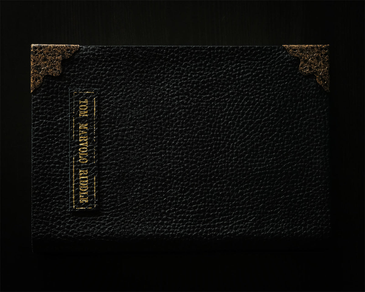 Productafbeelding Harry Potter - Het dagboek van Tom Riddle
