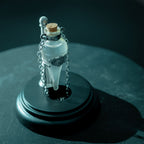 Productafbeelding Harry Potter - Felix Felicis Ketting incl. Display