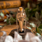 Productafbeelding Harry Potter - Felix Felicis Ketting incl. Display