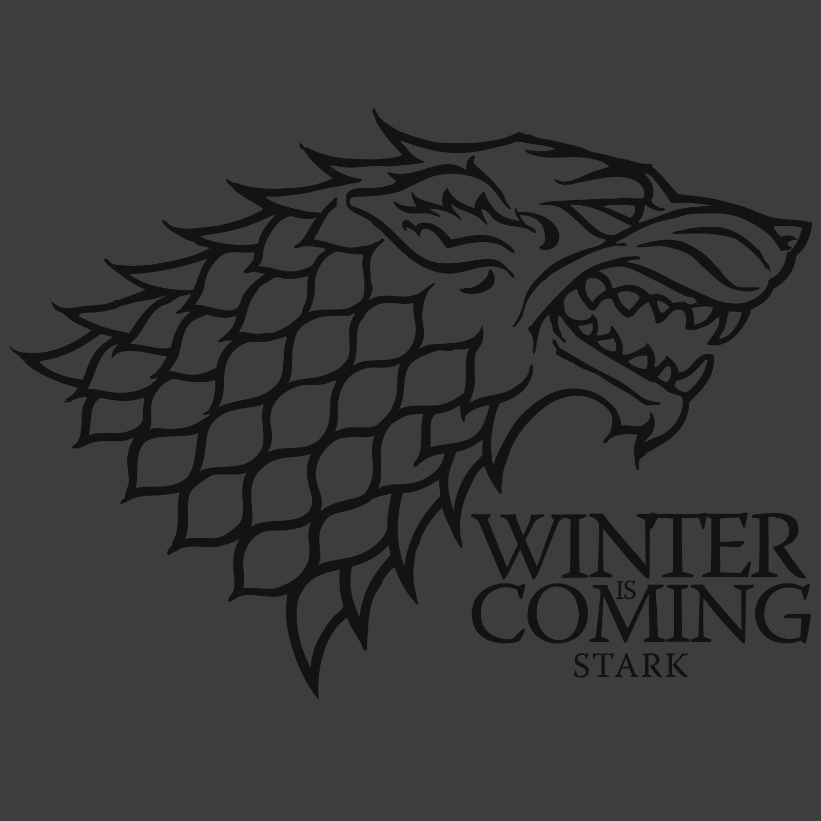 Productafbeelding Game of Thrones - Winter is Coming T-Shirt
