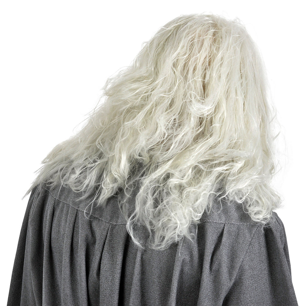 Productafbeelding Gandalf Pruik met Baard