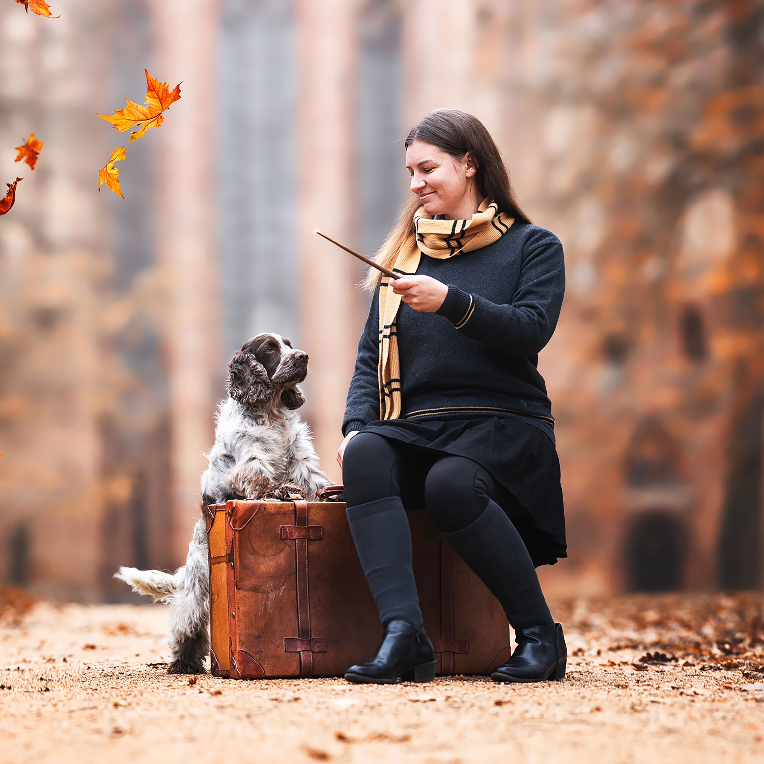 Productafbeelding Harry Potter - Originele Hufflepuff Wollen Sjaal