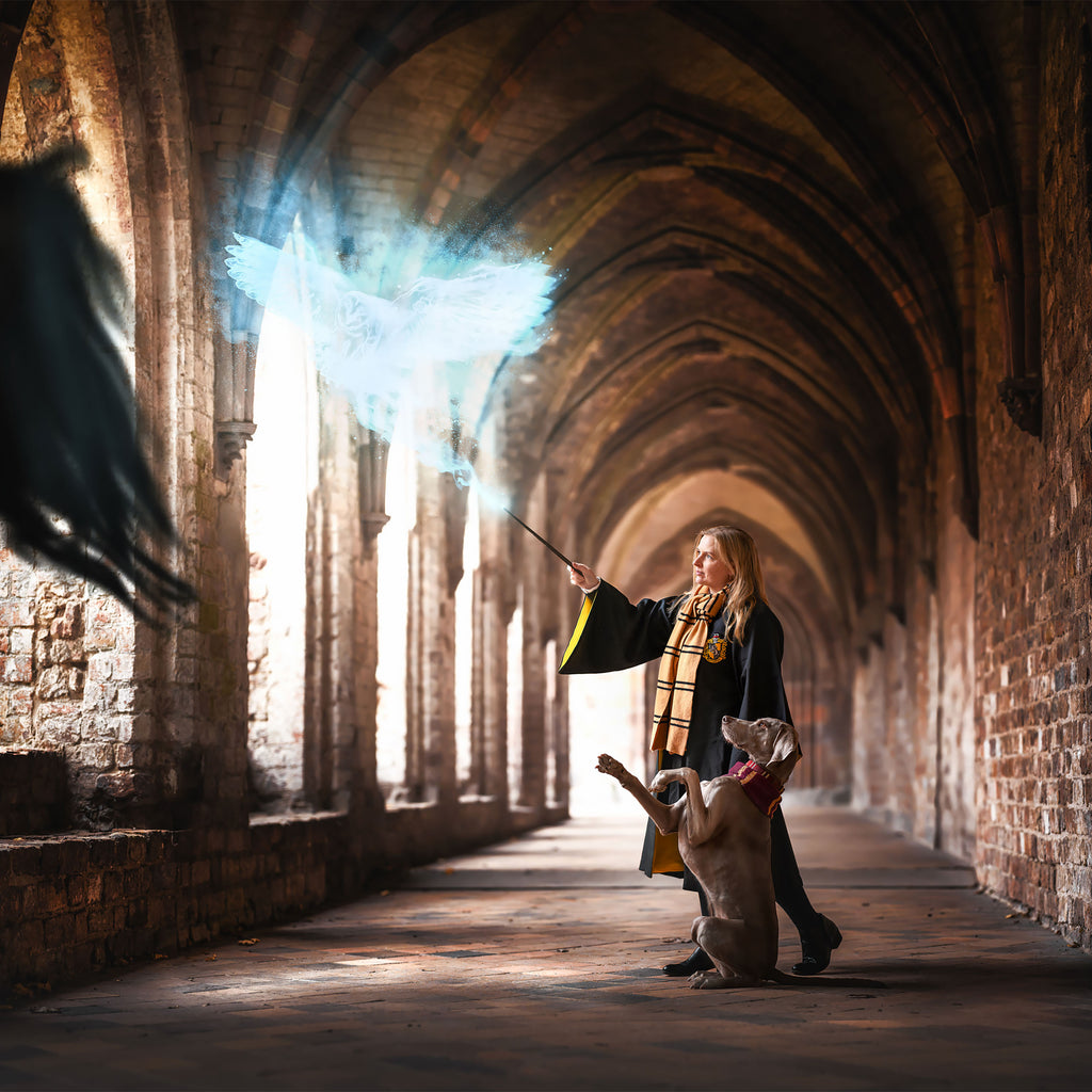 Productafbeelding Harry Potter - Originele Hufflepuff Wollen Sjaal