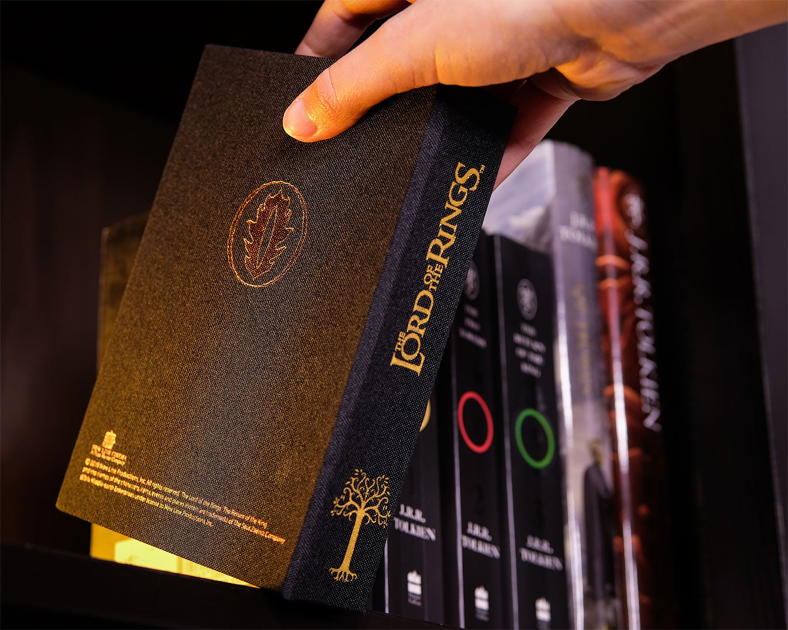 Productafbeelding The Lord of the Rings - De Ene Ring aan een roestvrijstalen ketting