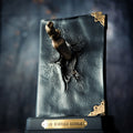Productafbeelding Harry Potter - Riddle Dagboek Standbeeld met Basilisk Tand