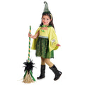 Productafbeelding Groene Heks - Kinderkostuum