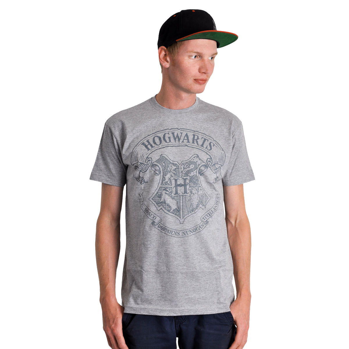 Productafbeelding Harry Potter - Logo T-Shirt Grijs