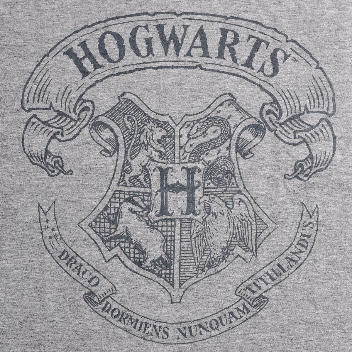 Productafbeelding Harry Potter - Logo T-Shirt Grijs