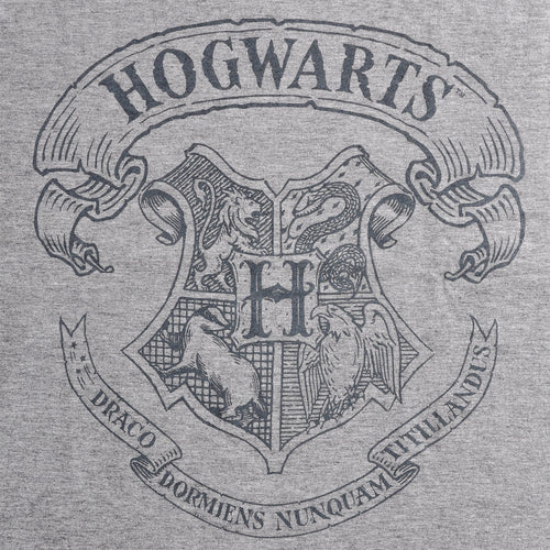Productafbeelding Harry Potter - Logo T-Shirt Grijs