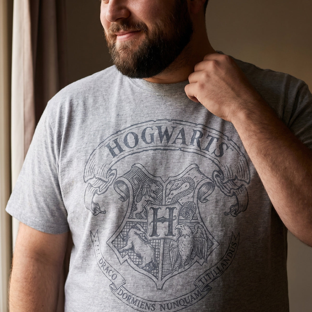 Productafbeelding Harry Potter - Logo T-Shirt Grijs