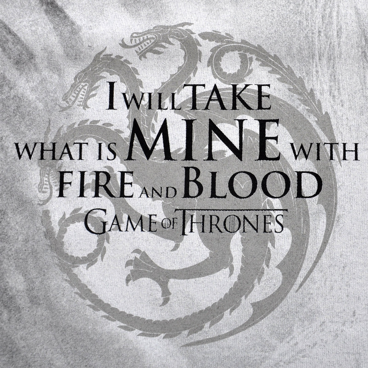Productafbeelding Game of Thrones - Daenerys Fire and Blood T-Shirt