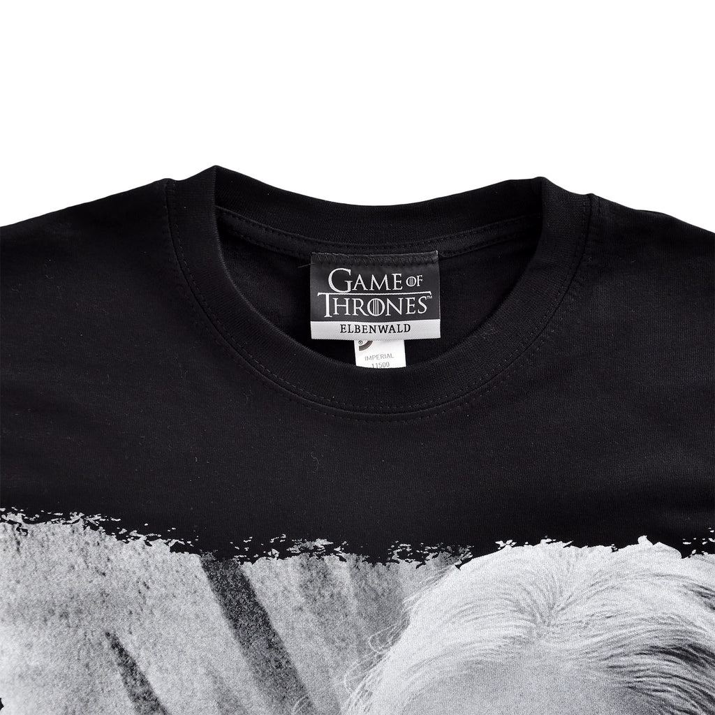 Productafbeelding Game of Thrones - Daenerys Fire and Blood T-Shirt