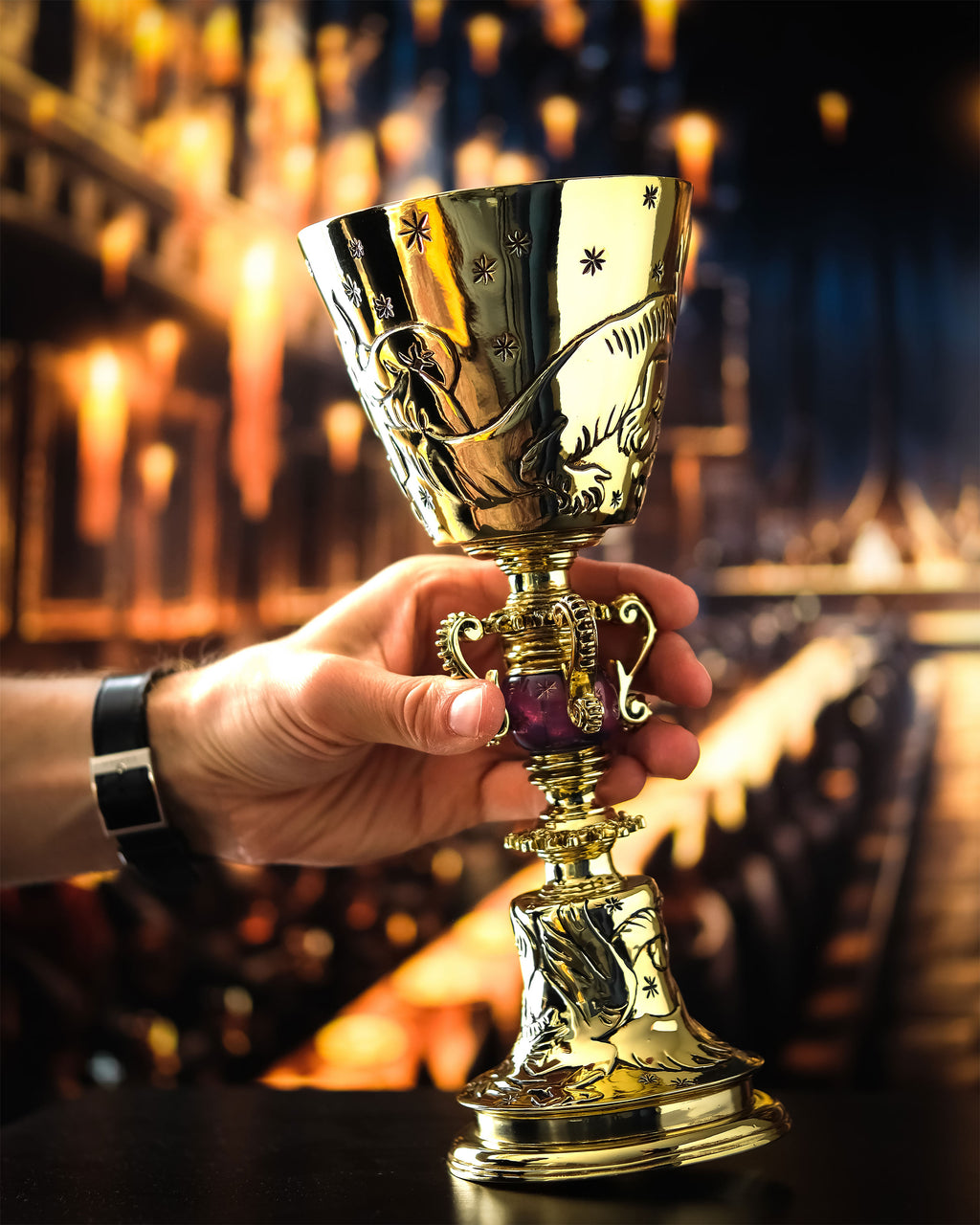 Productafbeelding Harry Potter - Dumbledores Beker