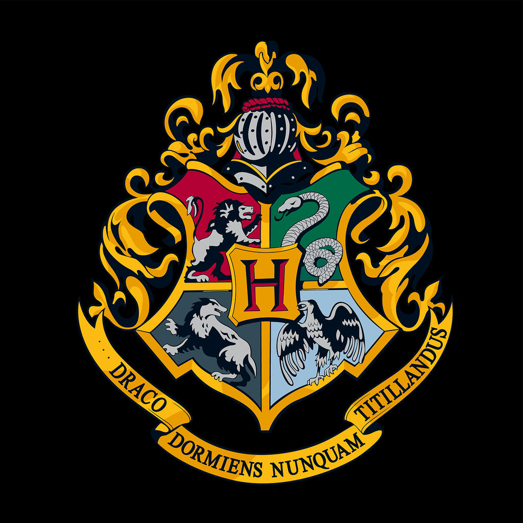 Product image Harry Potter - Hogwarts Hoodie black