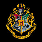 Product image Harry Potter - Hogwarts Hoodie black