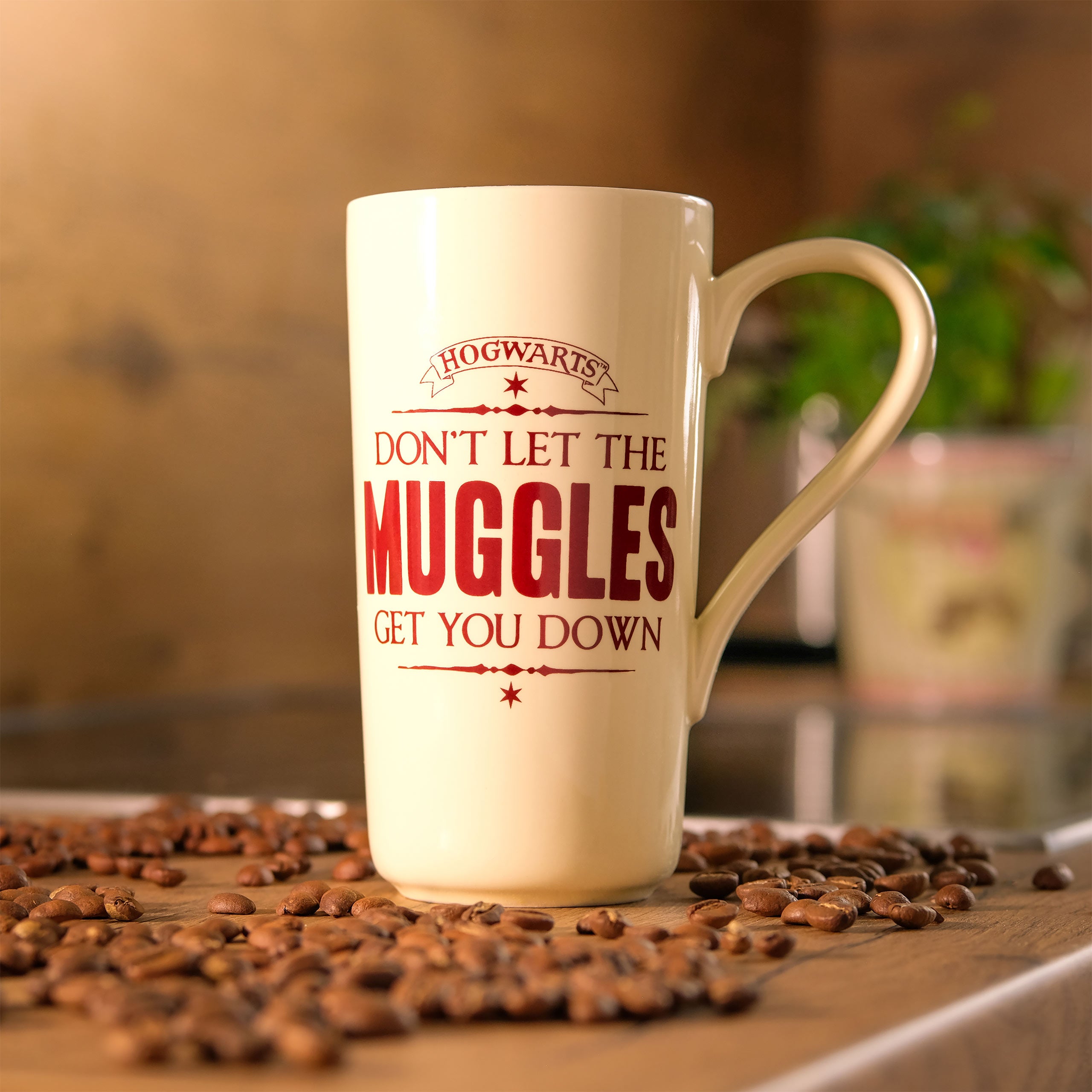 Productafbeelding Harry Potter - Dreuzel Mok XXL