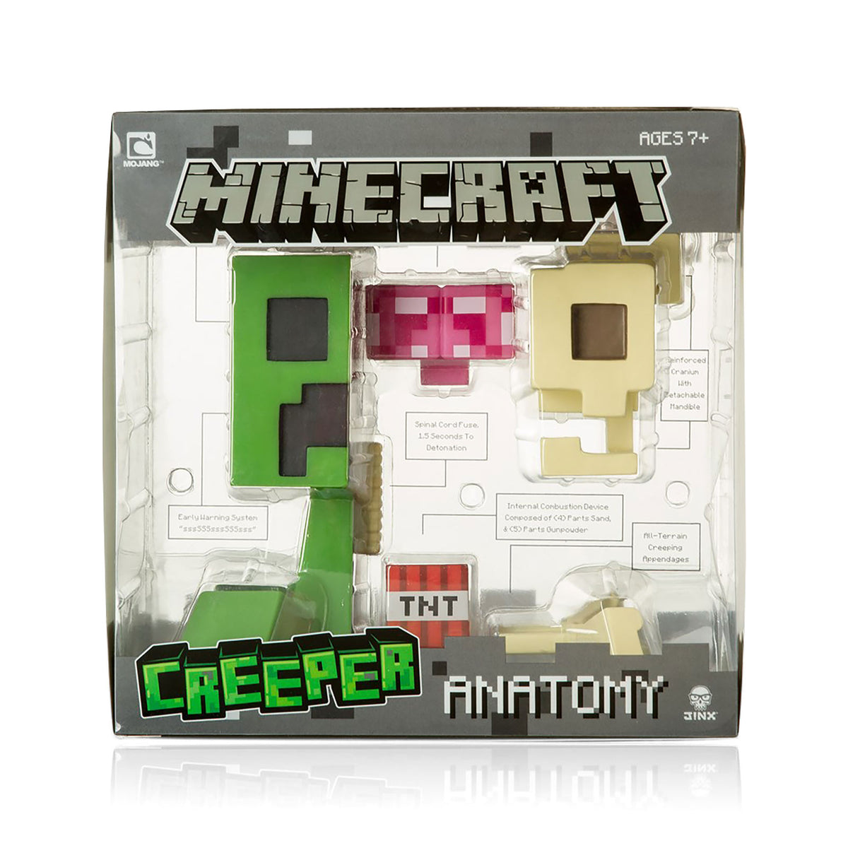 Productafbeelding Minecraft - Creeper Anatomie Figuur