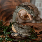 Productafbeelding Basilisk - Harry Potter Magische Beesten Beeldje