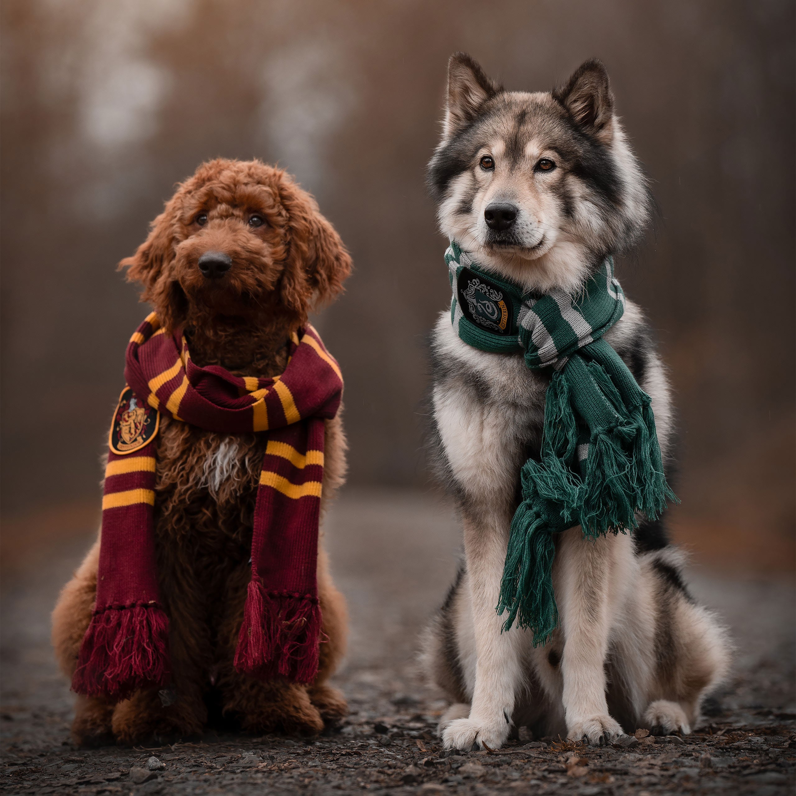 Productafbeelding Harry Potter - Slytherin Gebreide Sjaal Grijs-Groen