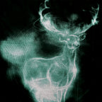 Productafbeelding Harry Potter - Patronus T-shirt zwart