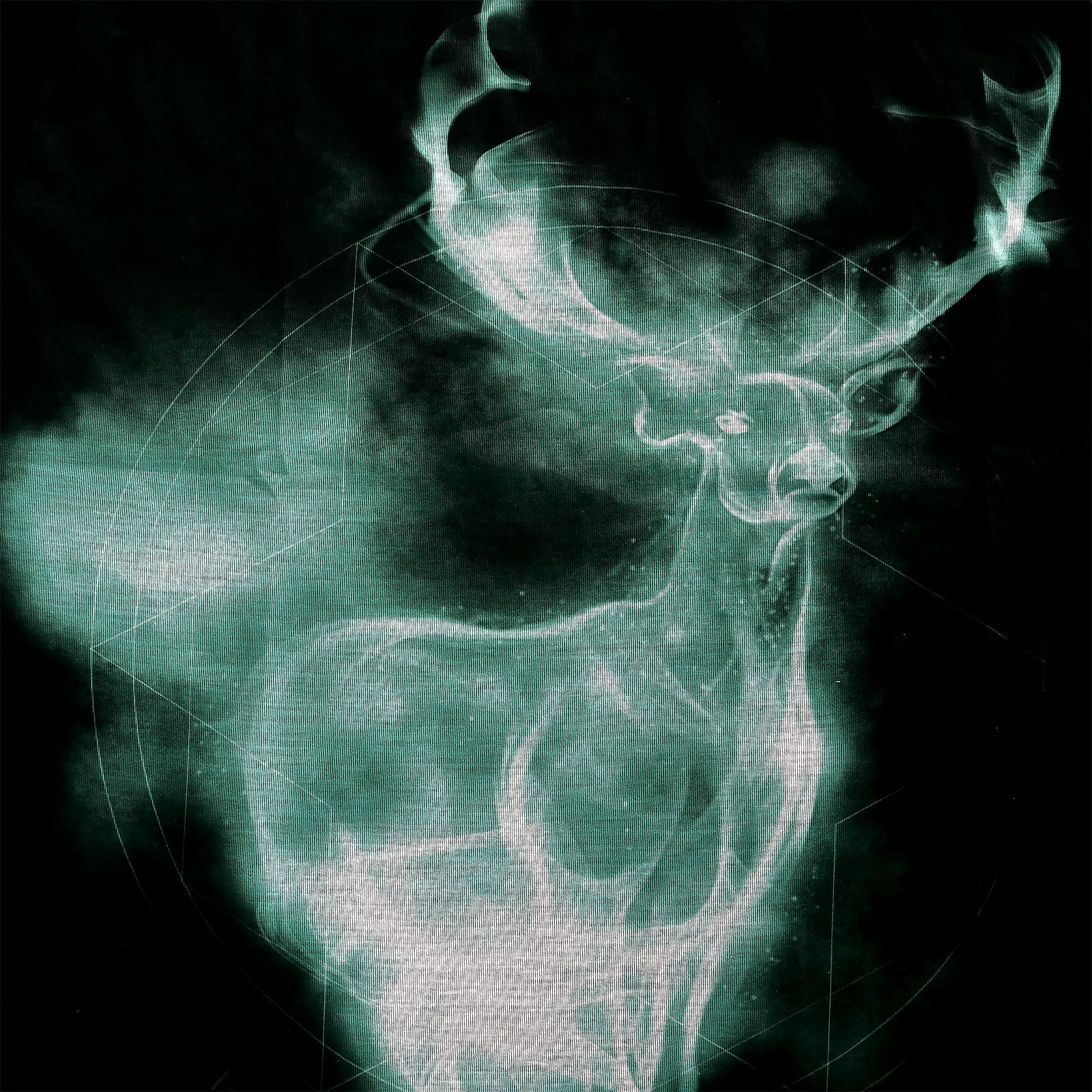 Productafbeelding Harry Potter - Patronus T-shirt zwart