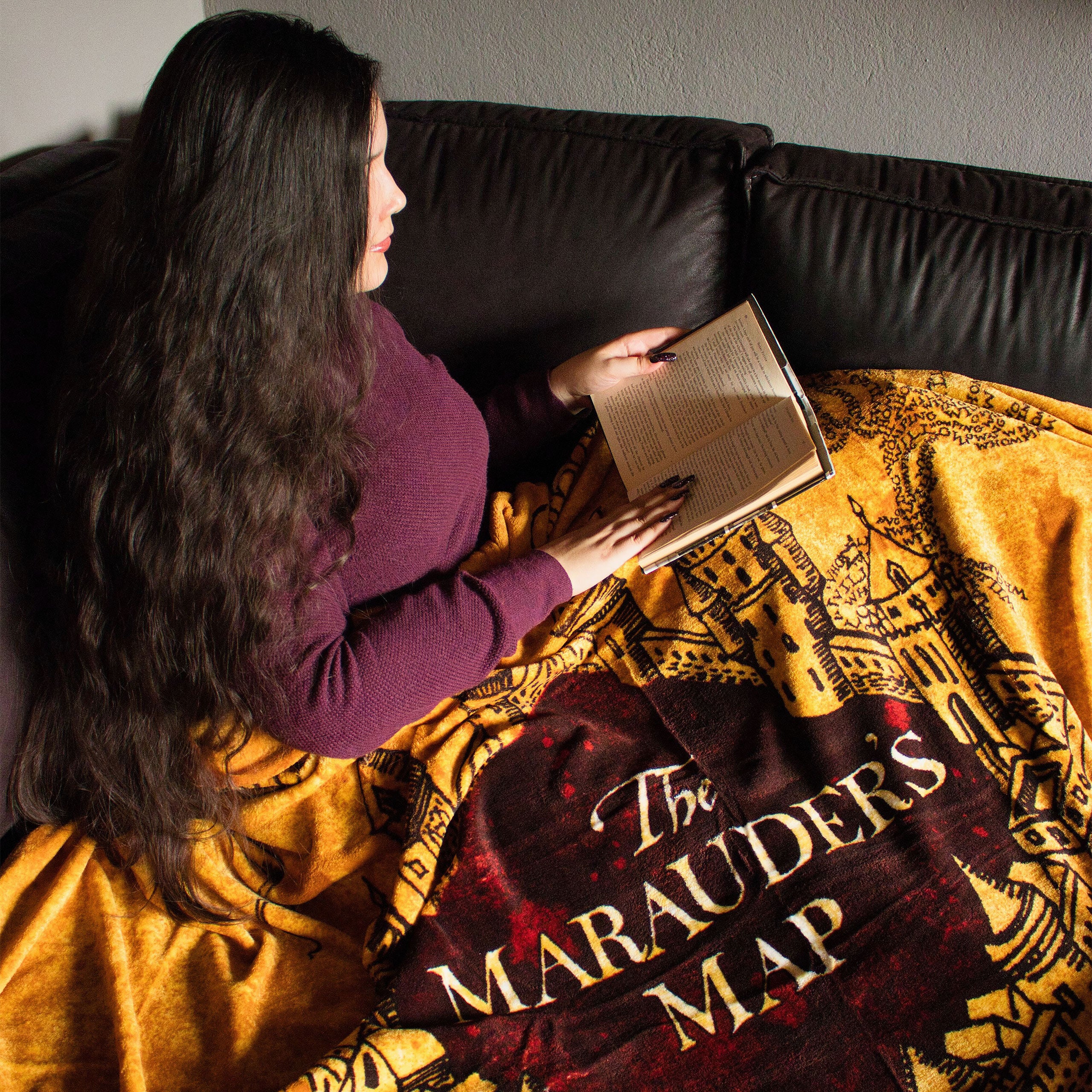 Productafbeelding Harry Potter - Sluipwegwijzer Knuffeldeken