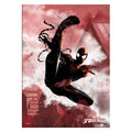 Productafbeelding Spider-Man Metalen Poster