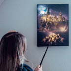 Product image Harry Potter - Hogwarts wall art with light