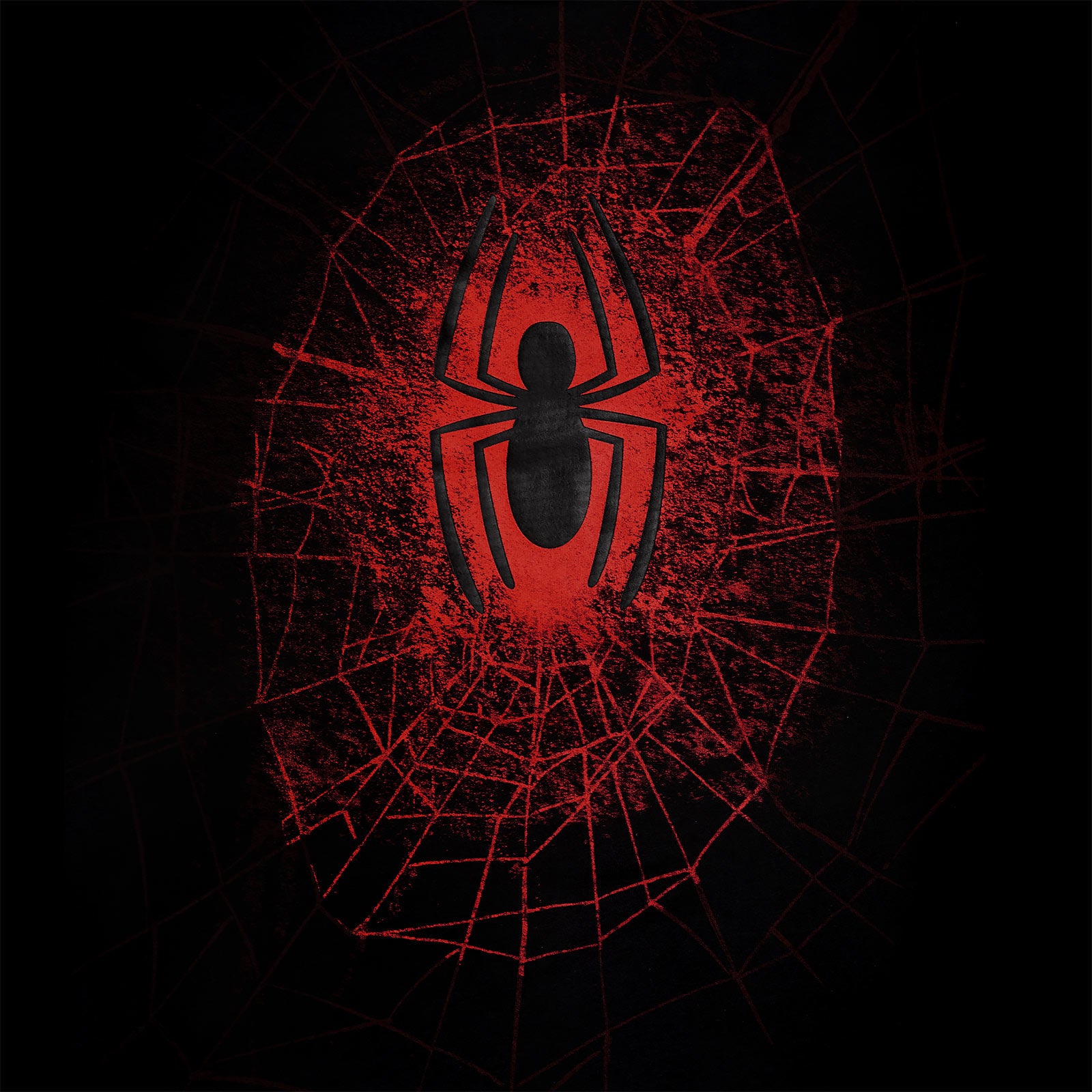 Productafbeelding Spider-Man - Spider Web T-shirt zwart