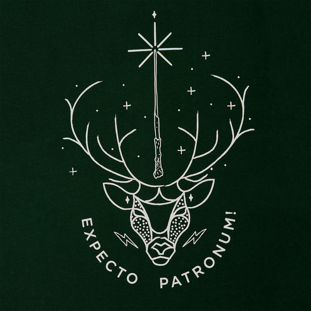 Productafbeelding Harry Potter - Expecto Patronum T-shirt groen