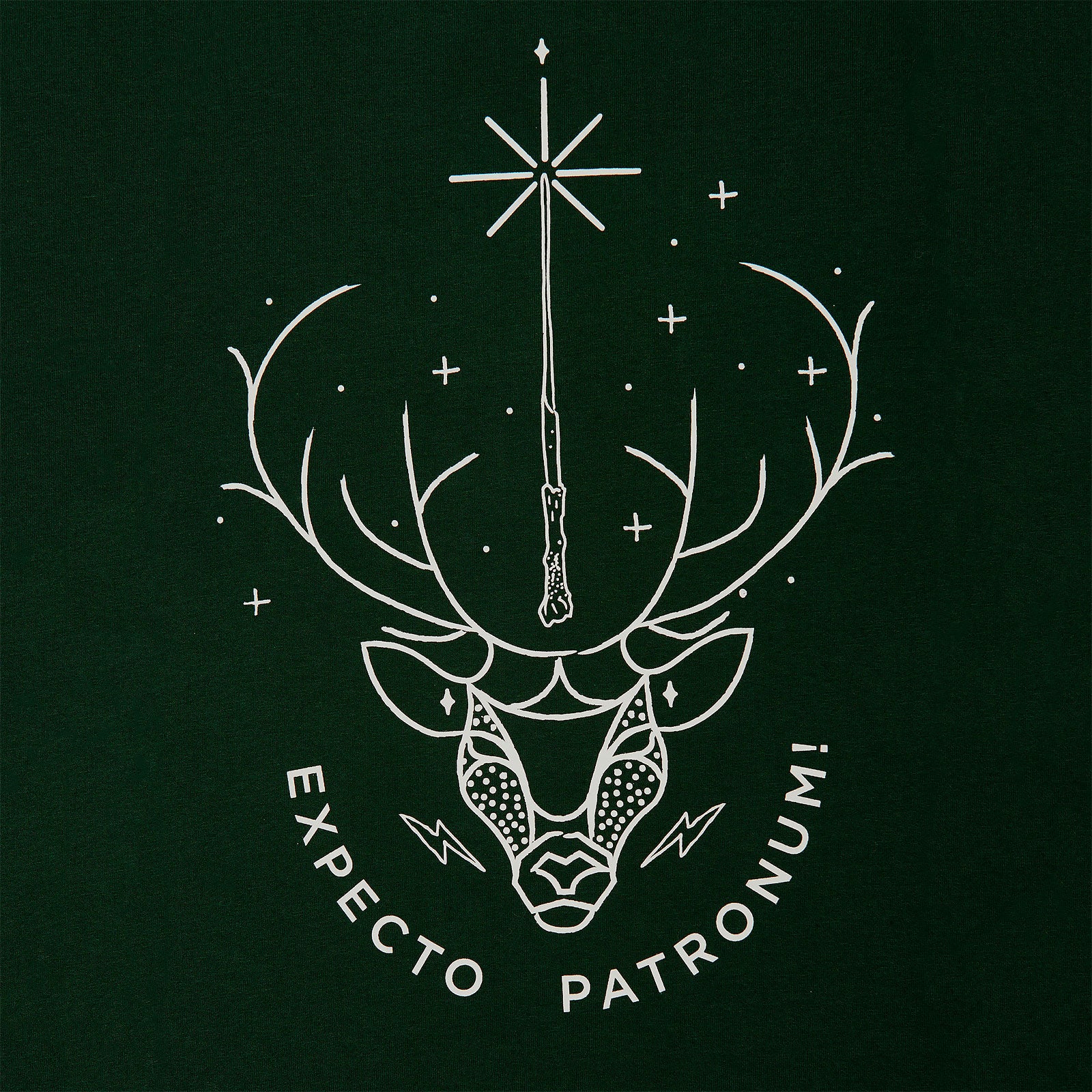Productafbeelding Harry Potter - Expecto Patronum T-shirt groen