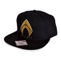 Productafbeelding Aquaman Logo Snapback Cap - Justice League