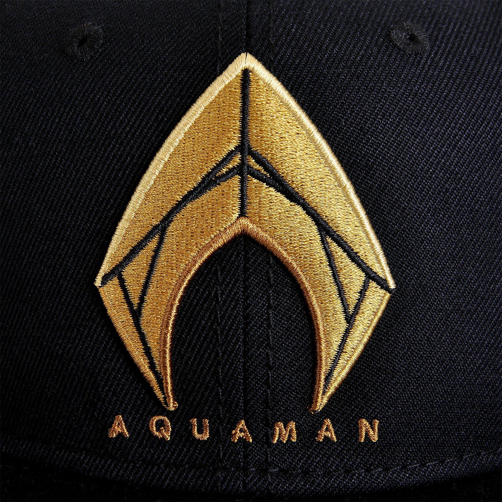 Productafbeelding Aquaman Logo Snapback Cap - Justice League
