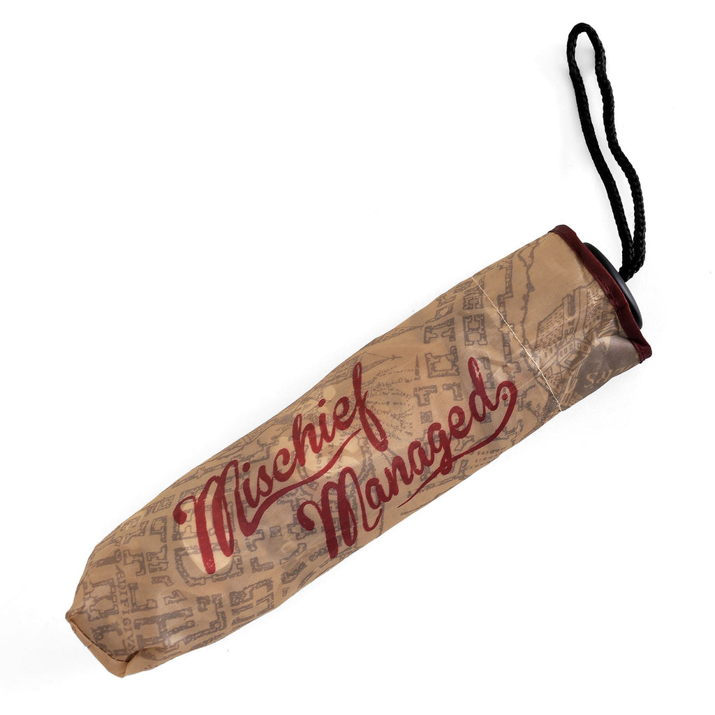 Productafbeelding Harry Potter - Sluipwegwijzer Paraplu met Aqua Effect