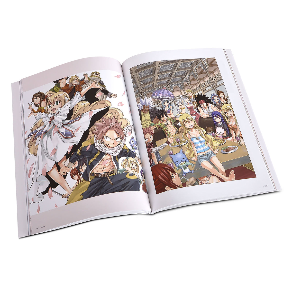 Productafbeelding Fairy Tail - Harvest Artwork