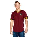 Productafbeelding Harry Potter - Quidditch Team Gryffindor T-Shirt