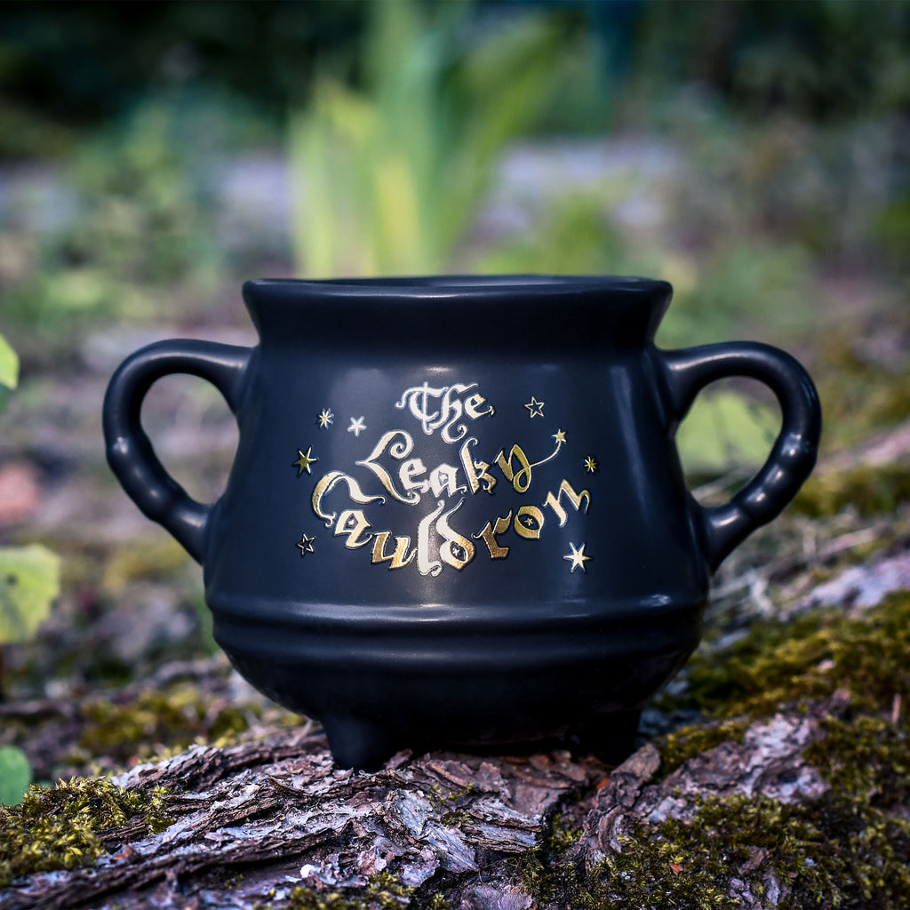 Productafbeelding Harry Potter - Wegisweg Ketel Mok