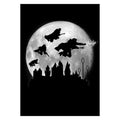 Productafbeelding Magic Flight at Night Metalen Poster voor Harry Potter Fans