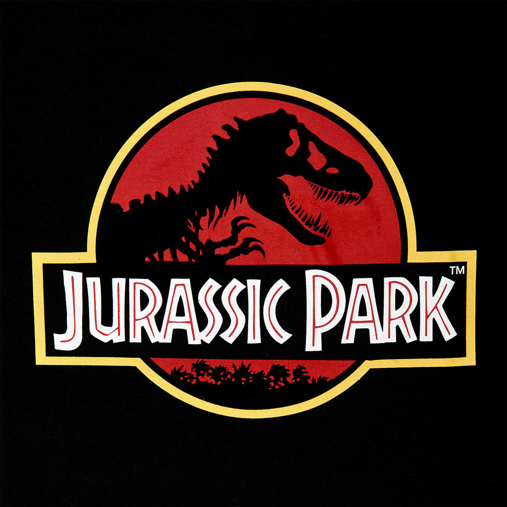 Productafbeelding Jurassic Park - Film Logo Hoodie Zwart