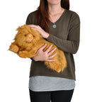 Productafbeelding Harry Potter - Crookshanks Knuffelfiguur 43 cm