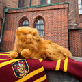 Productafbeelding Harry Potter - Crookshanks Knuffelfiguur 43 cm