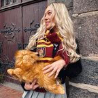 Productafbeelding Harry Potter - Crookshanks Knuffelfiguur 43 cm