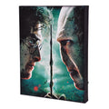 Product image Harry Potter - Harry vs. Voldemort Wall Picture with Light
