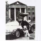 Productafbeelding Terug naar de Toekomst - Einstein met DeLorean T-shirt wit