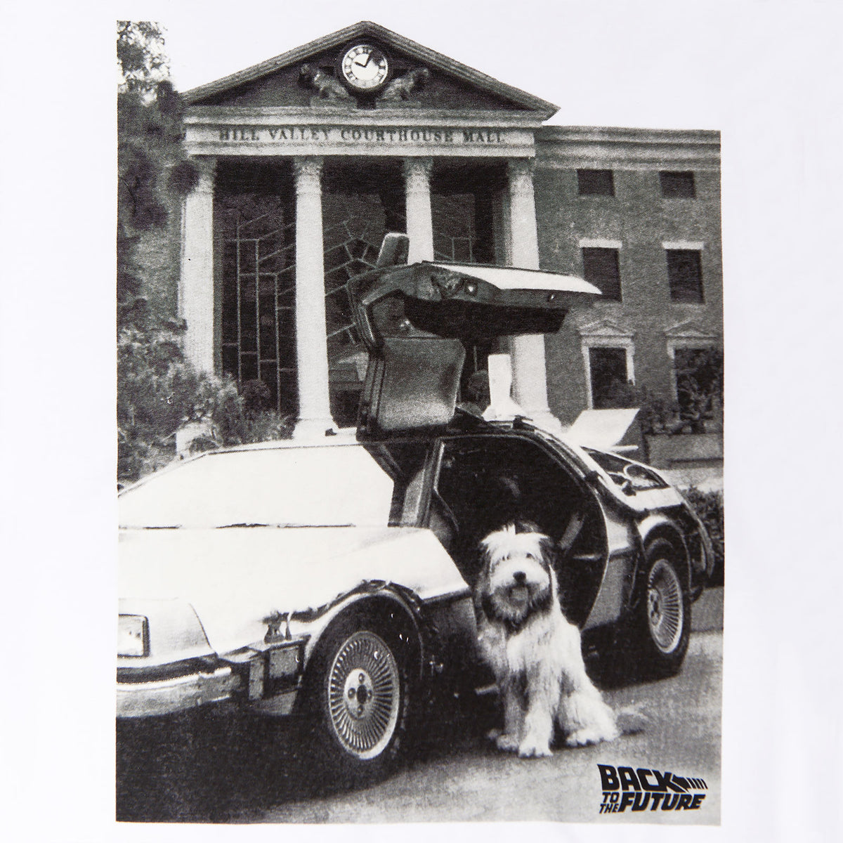 Productafbeelding Terug naar de Toekomst - Einstein met DeLorean T-shirt wit