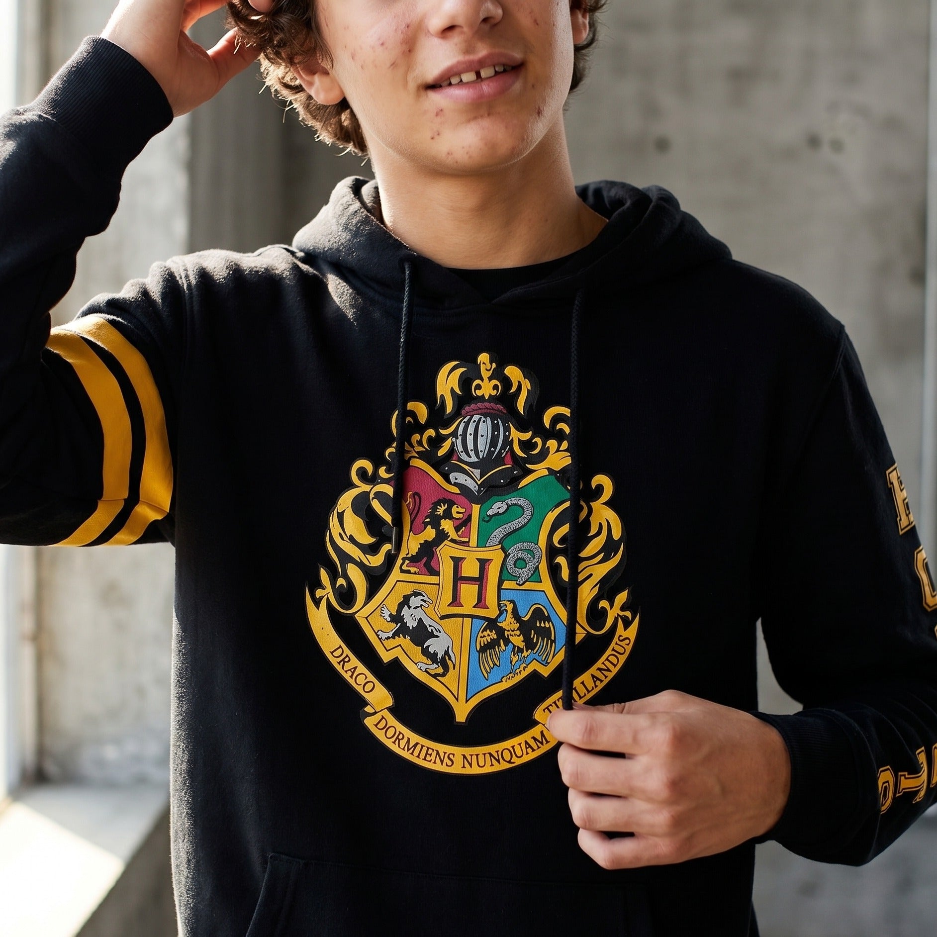 Productafbeelding Harry Potter - Hogwarts Wapen Hoodie